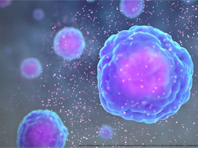 5-immunite-enfant-mere.jpg