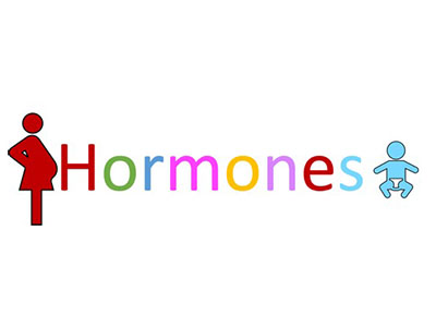 L’effets des phtalates sur les hormones stéroïdiennes chez la femme enceinte