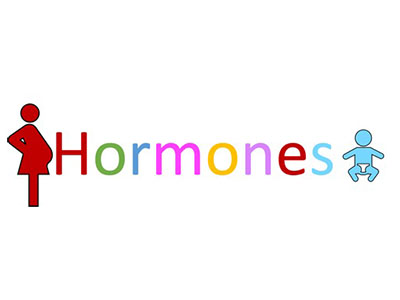 The effects of phthalates on steroid hormones in pregnant women